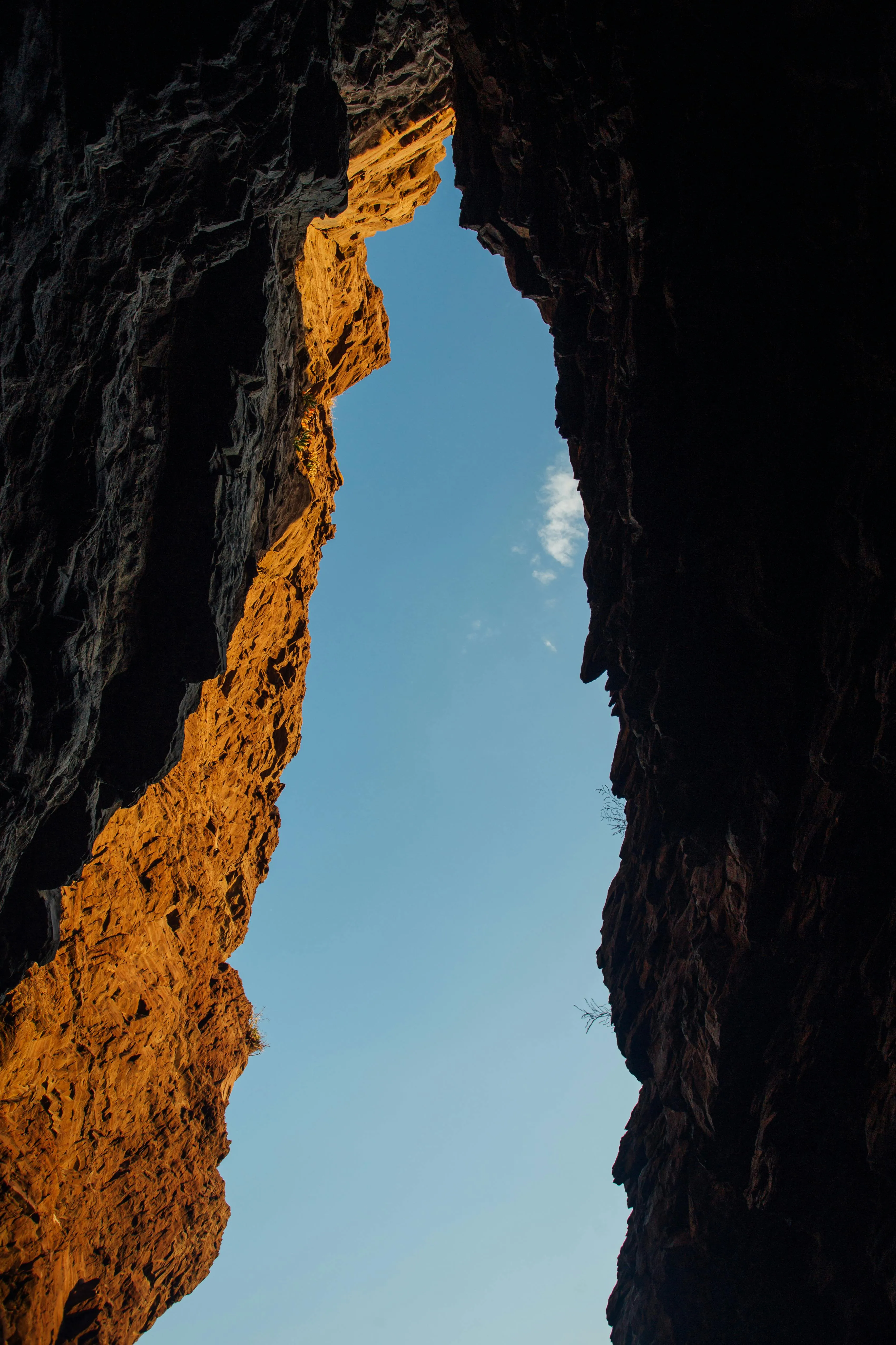 ben neale on pexels
