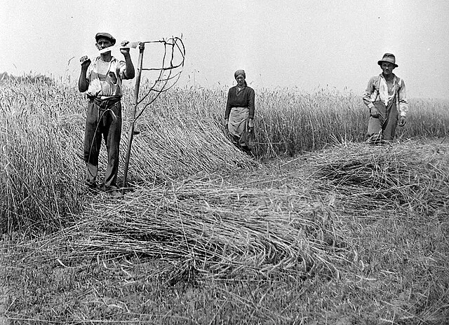 Fortepan on Wikimedia Commons