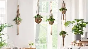 Image from Amazon.com