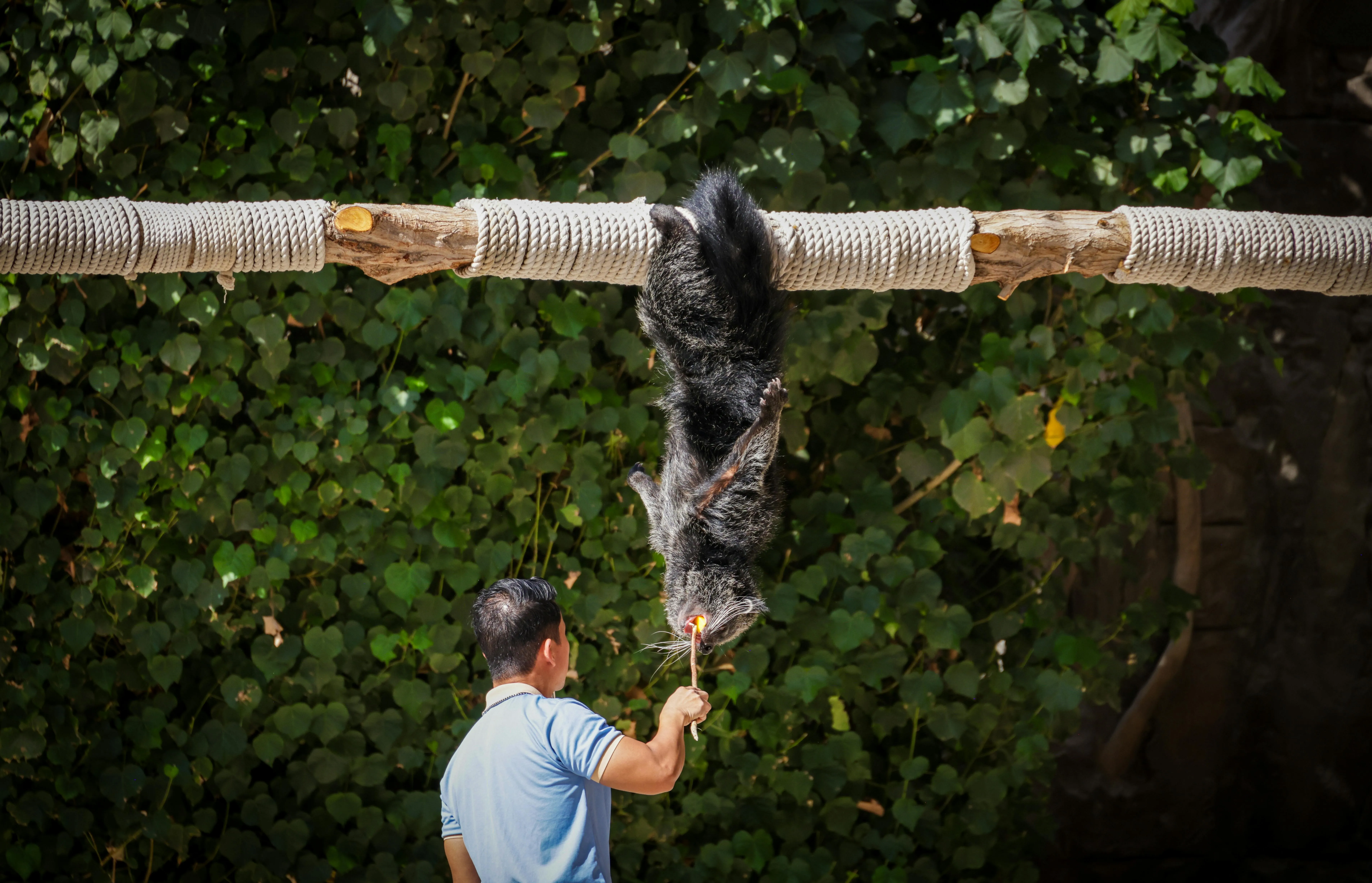 12 Physical Abilities Humans Have That Other Animals Don’t