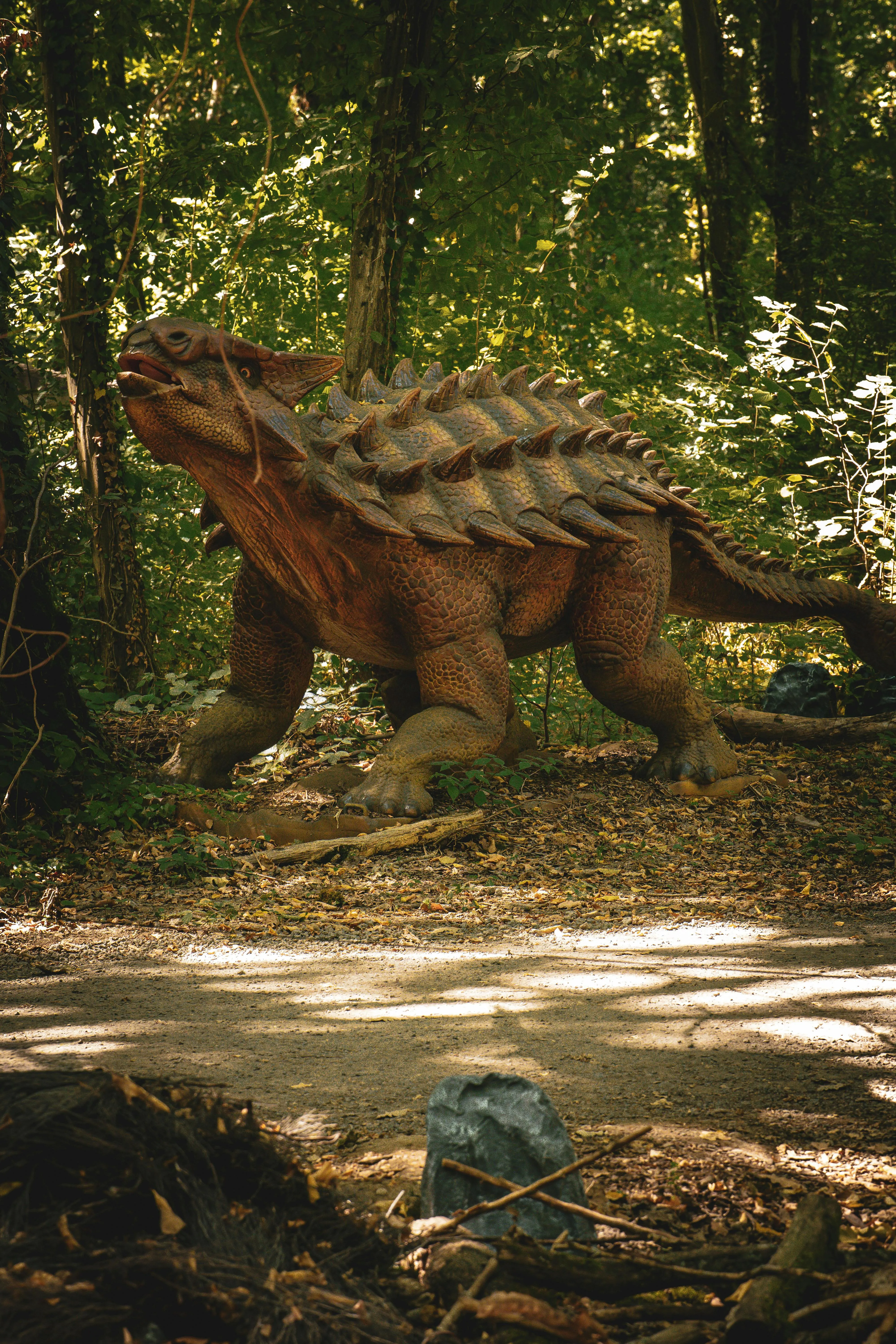 Antonio Mistretta on Pexels