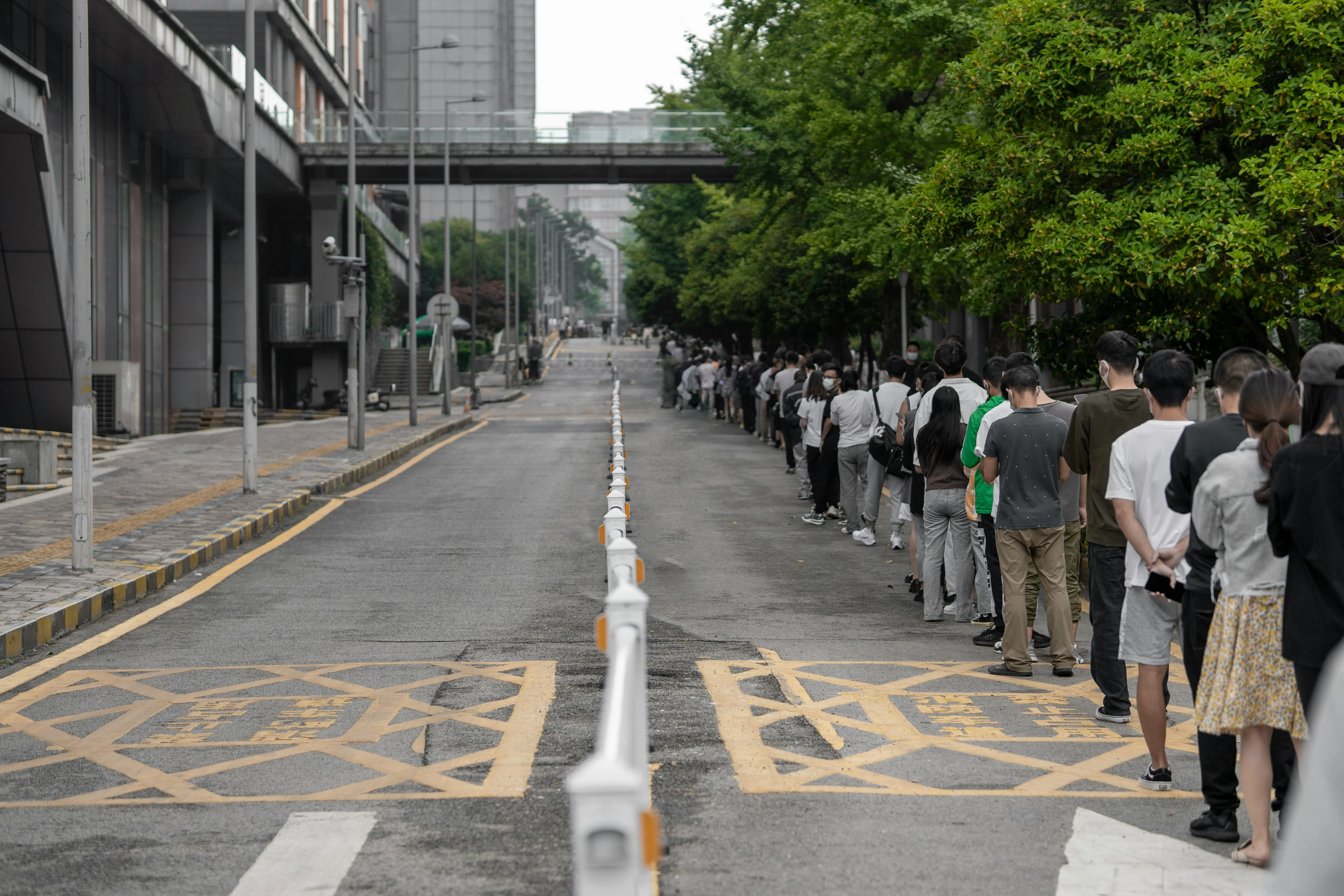 Zhengdong Hu on Pexels