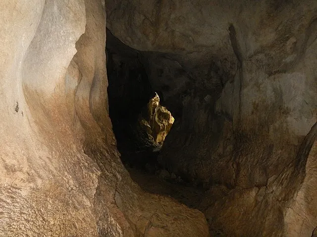 Judgefloro on wikimedia