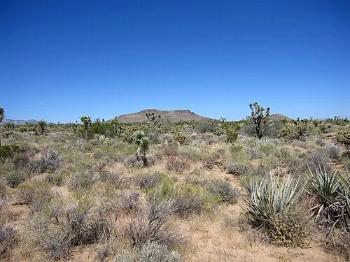 Image from Wikipedia