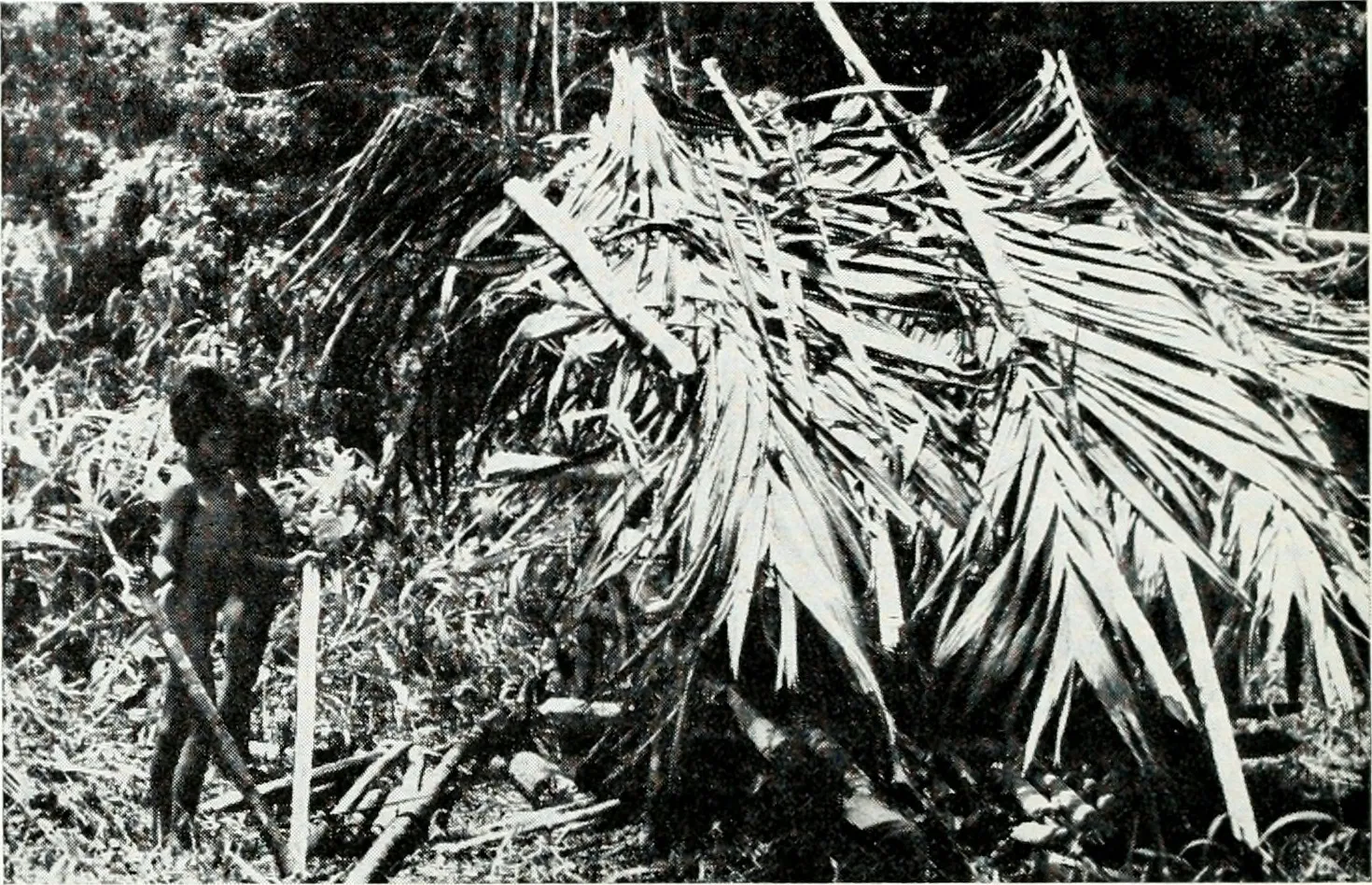 Internet Archive Book Images on Flickr