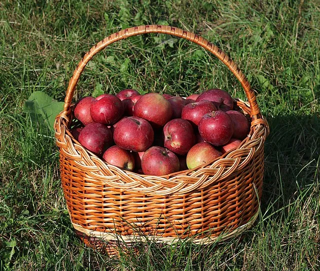 George Chernilevsky on wikimedia