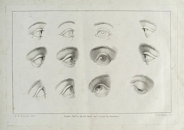 F. Bartolozzi on Wikimedia Commons