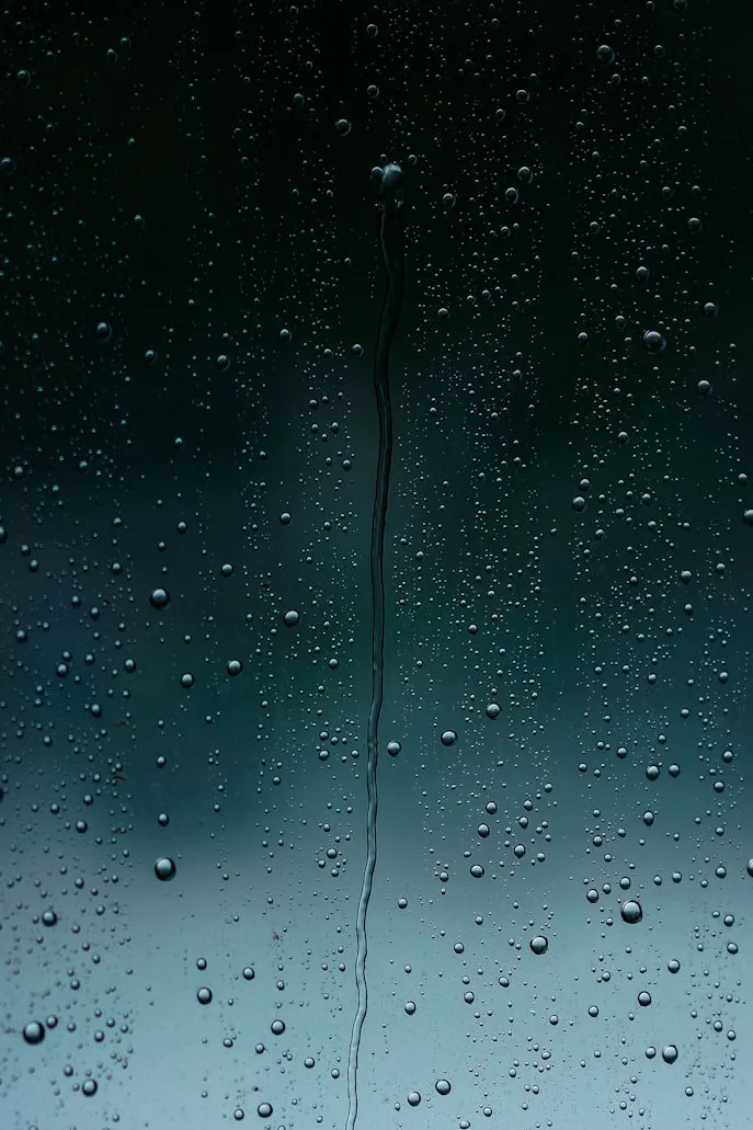 ERIC ZHU from Unsplash