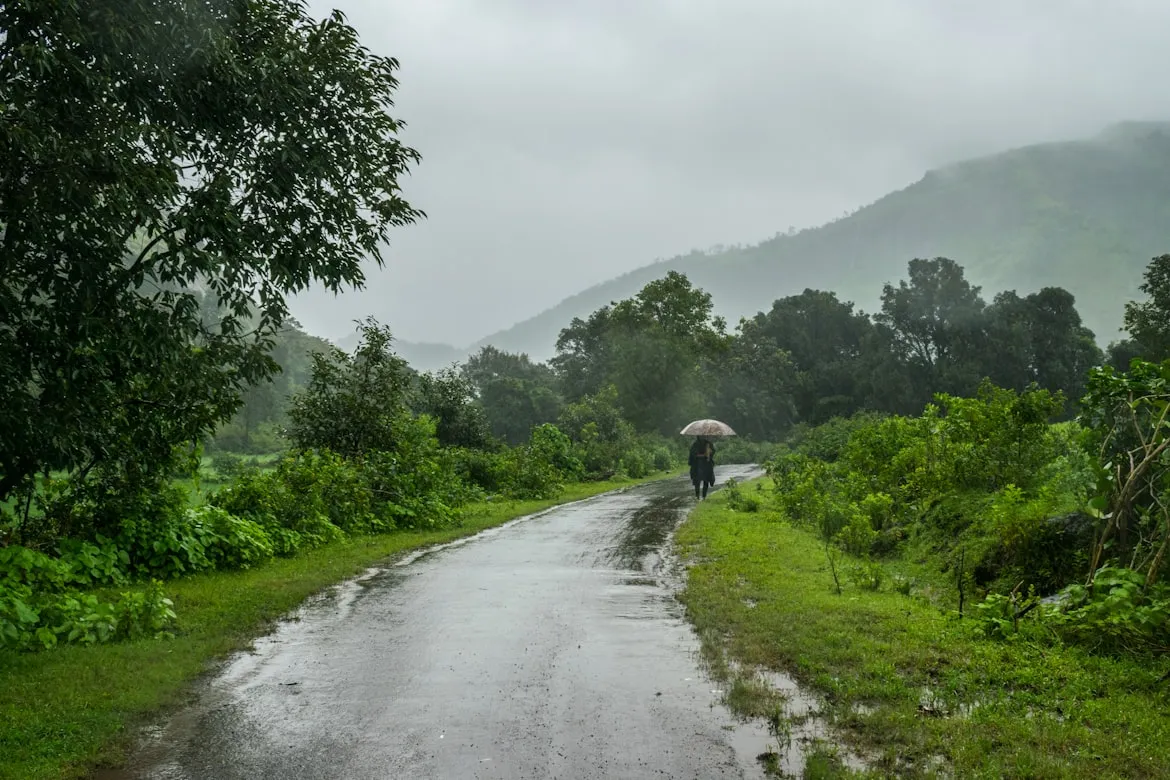 Sonika Agarwal from Unsplash