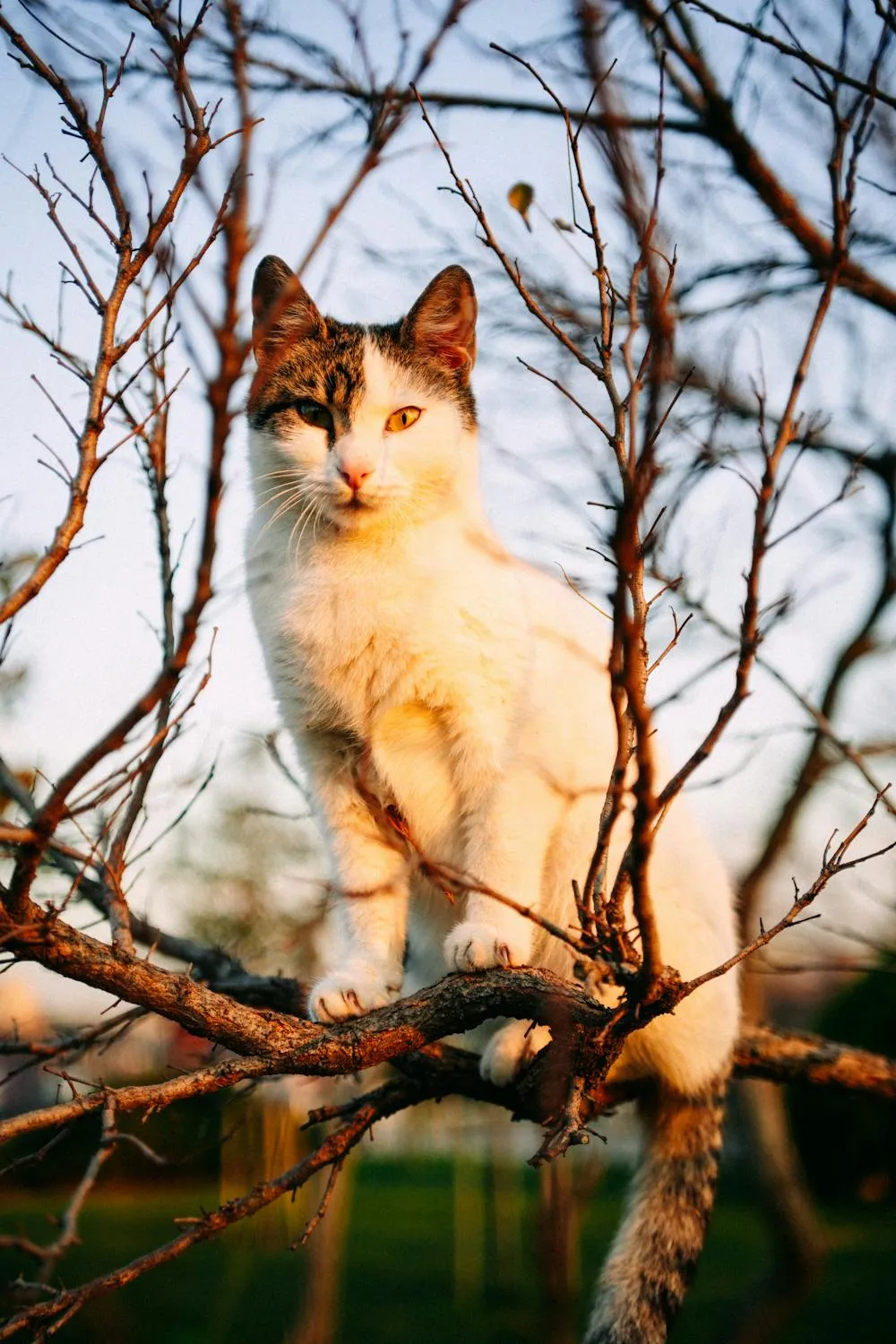  Fatih Berat Örer on Pexels