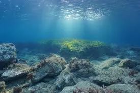 Image from Environment - European Commission
