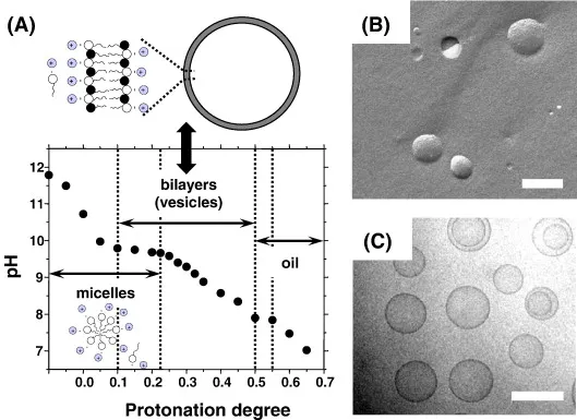 Image from ScienceDirect.com
