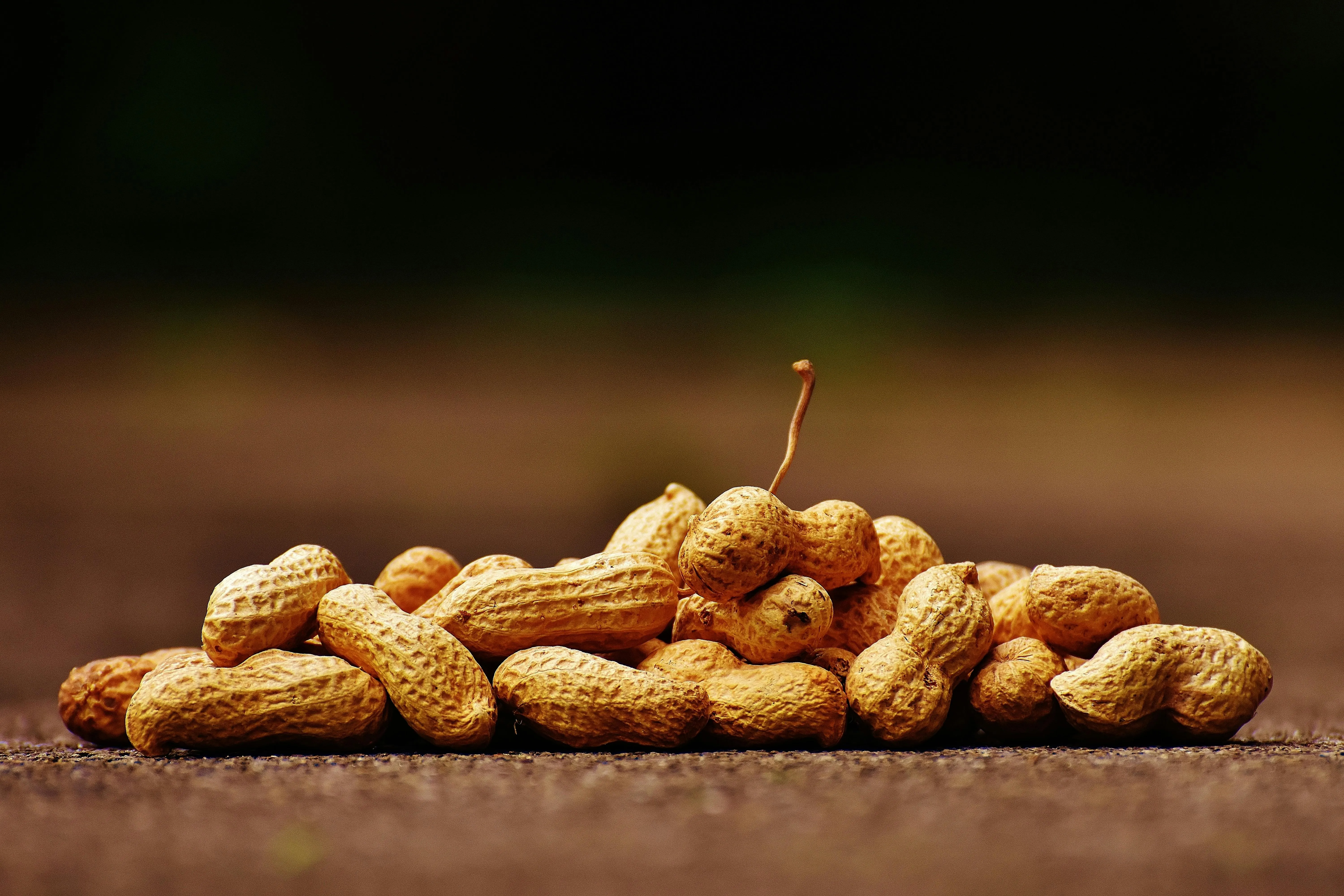 Pixabay on Pexels
