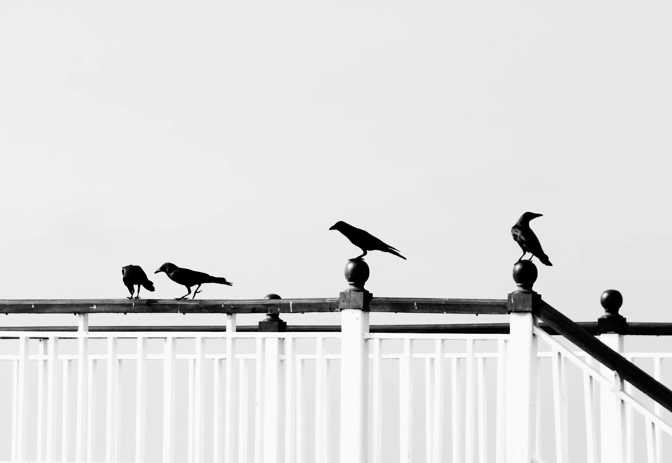 Ishara Kasthuriarachchi on Pexels
