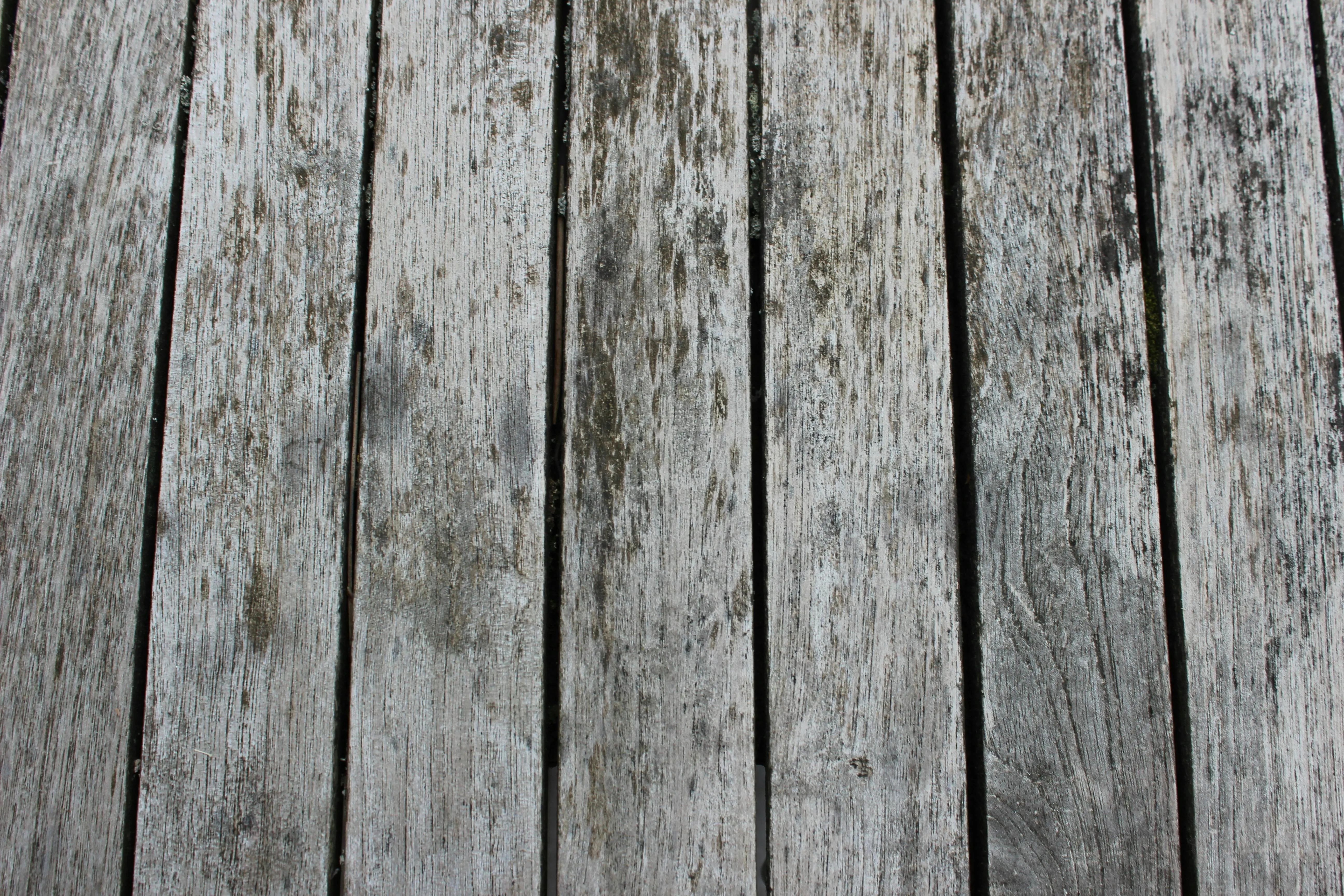 Kilian M on Pexels