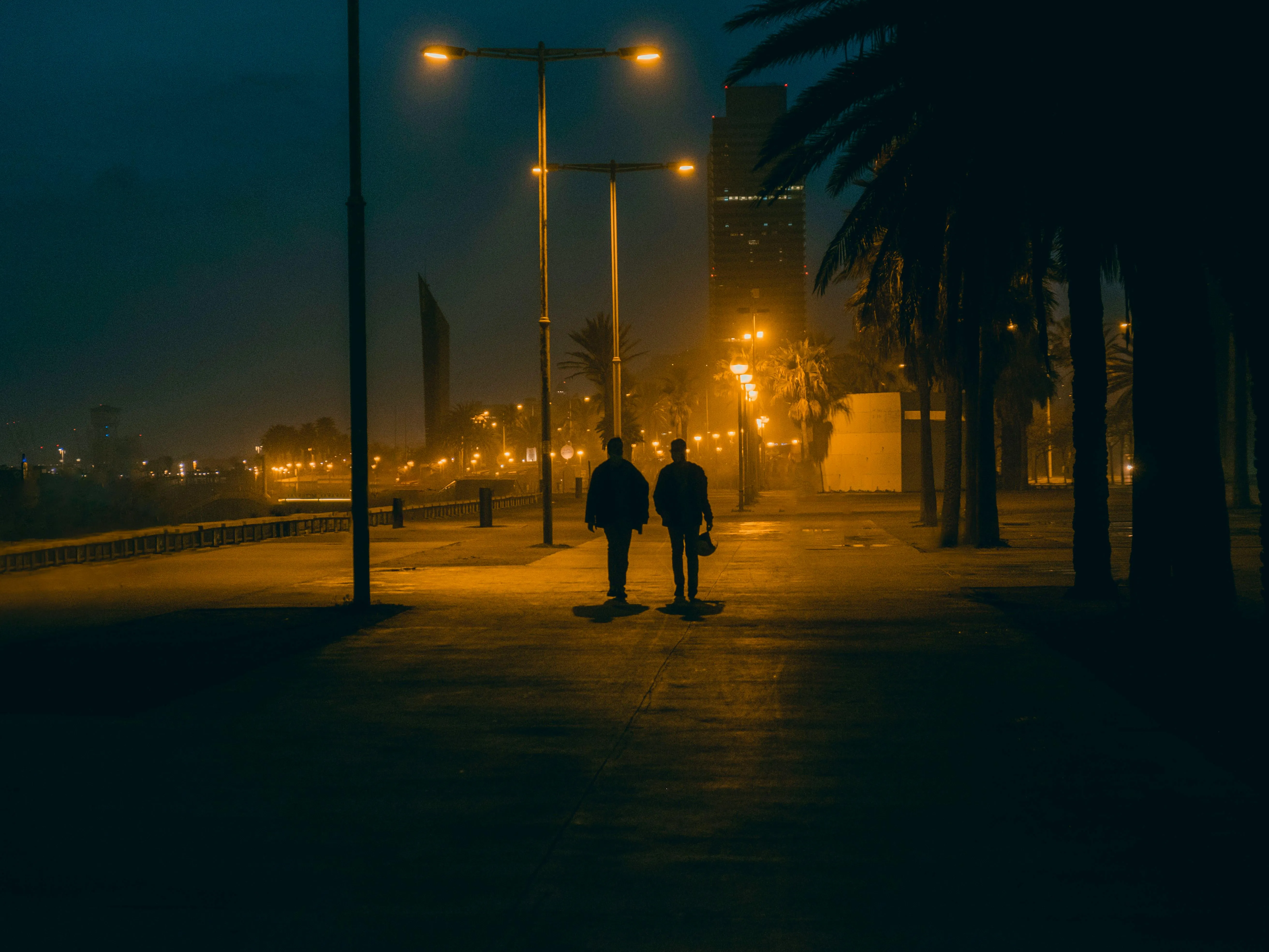 Andrea Rodríguez M. on pexels