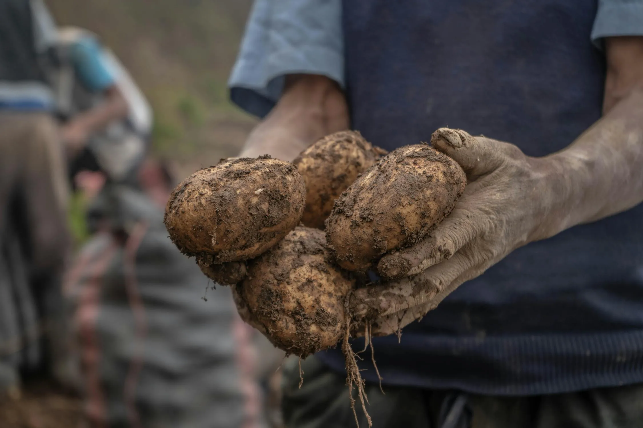 15 Delicious Potato Dishes from Around the World to Celebrate International Day of Potato