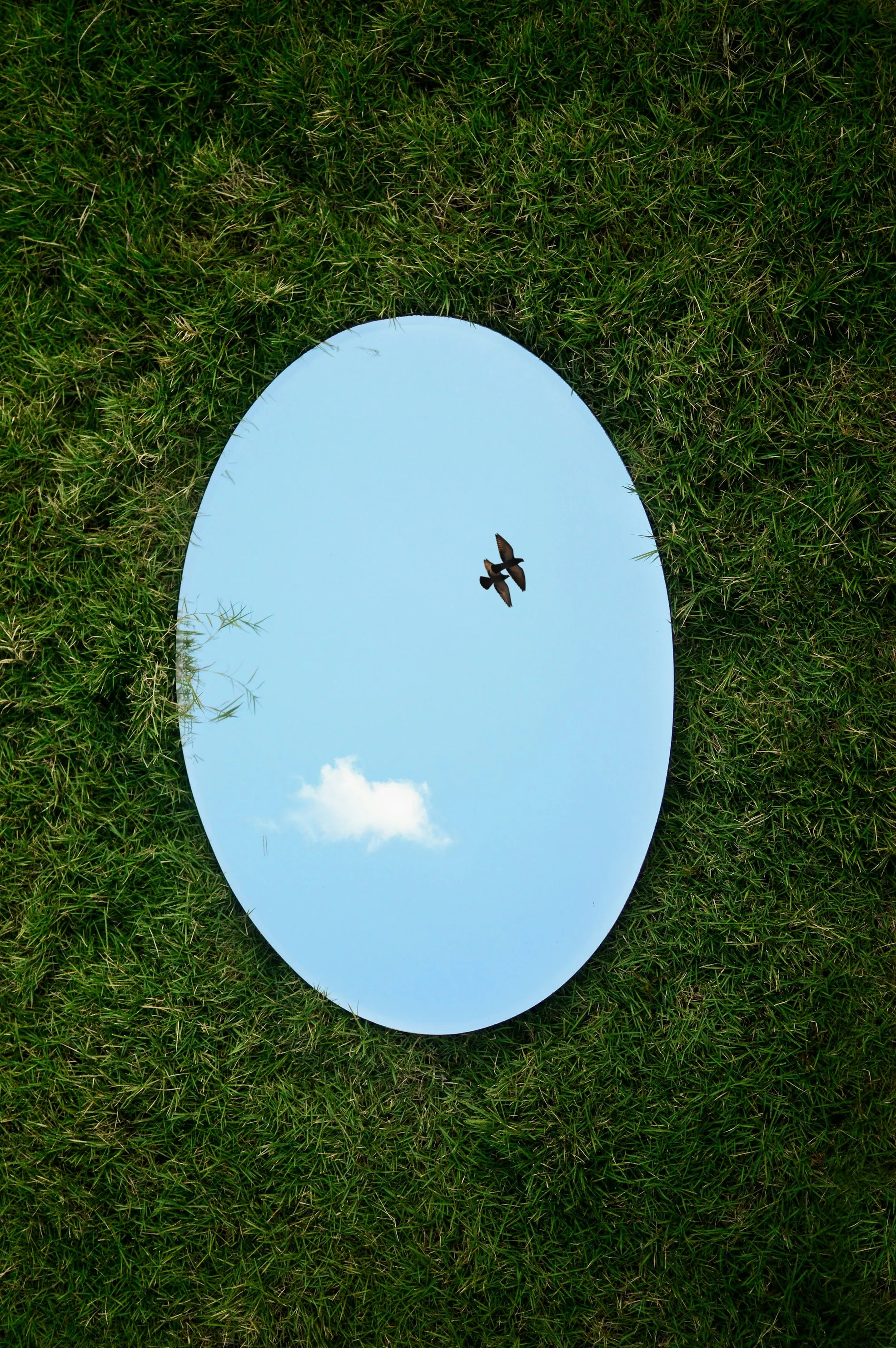  Jovis Aloor from Unsplash