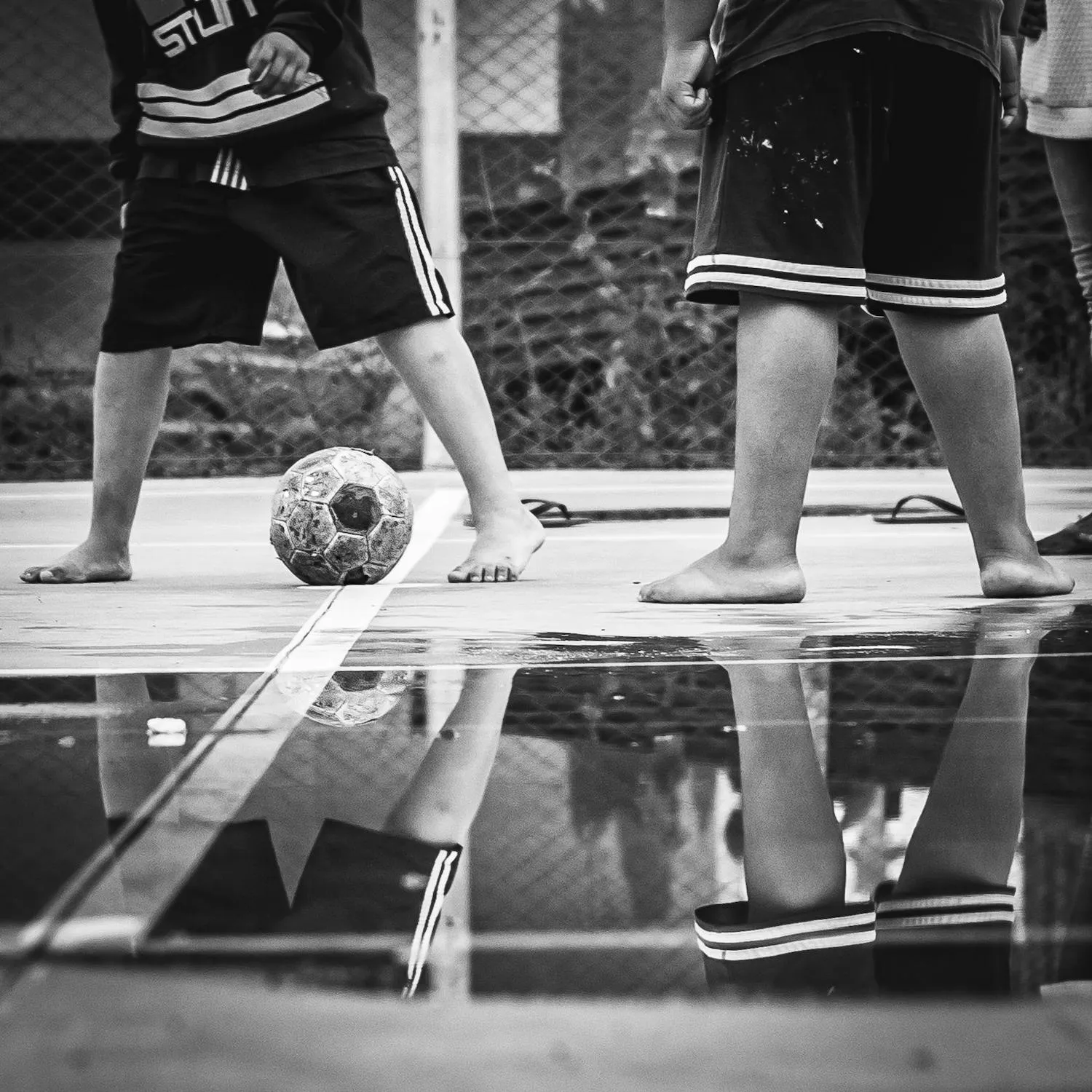 Anderson Portella on Pexels 