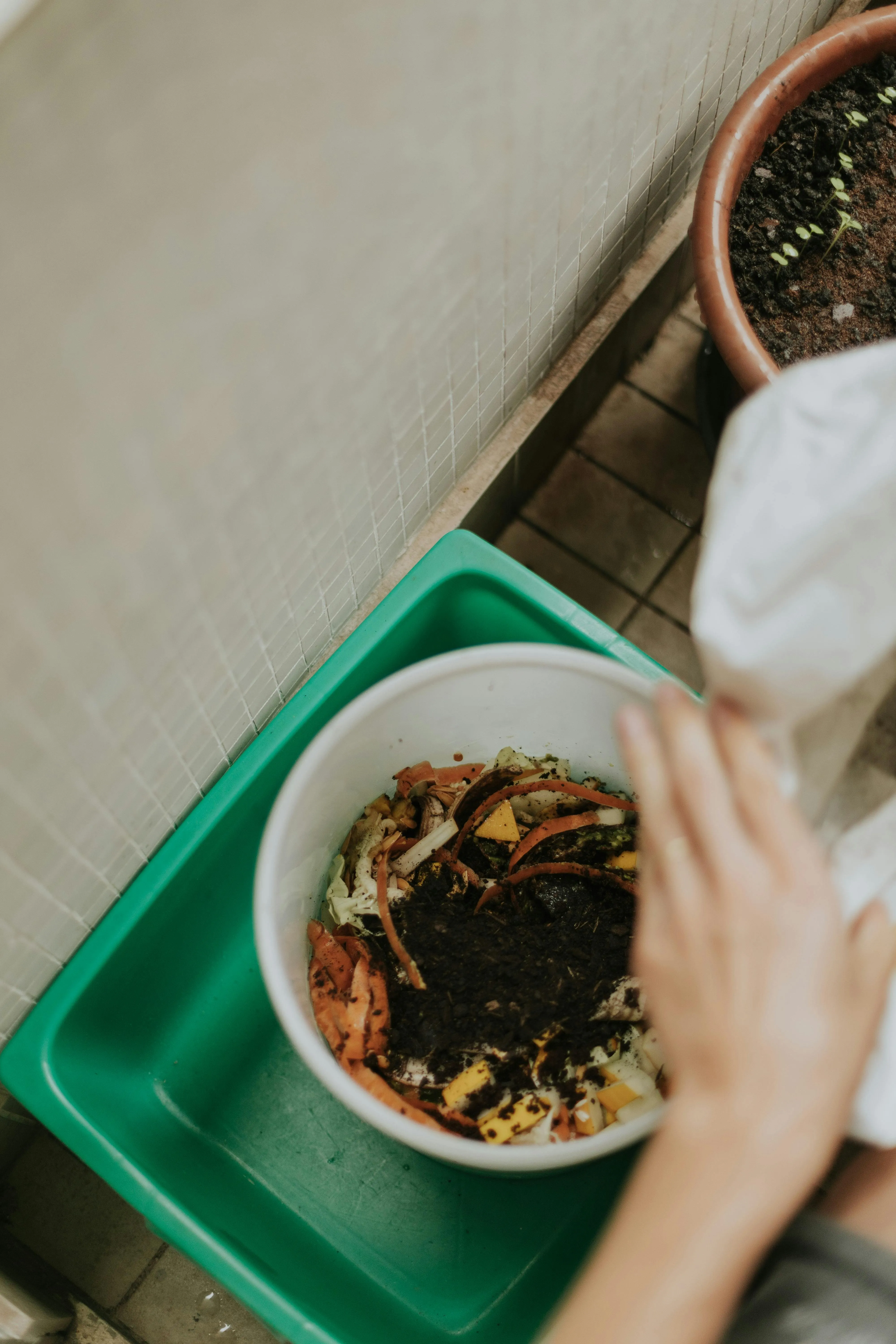 Letícia Alvares on Pexels