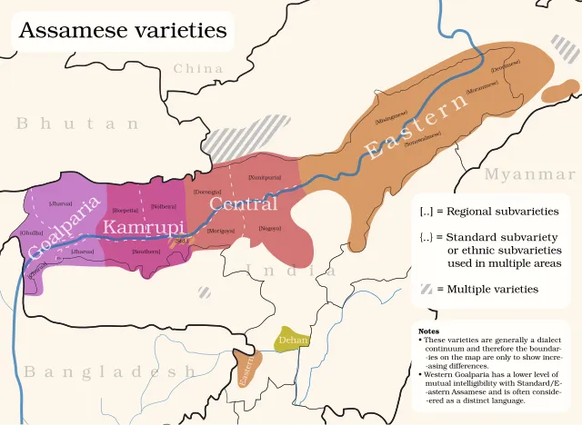 Msasag on Wikimedia Commons