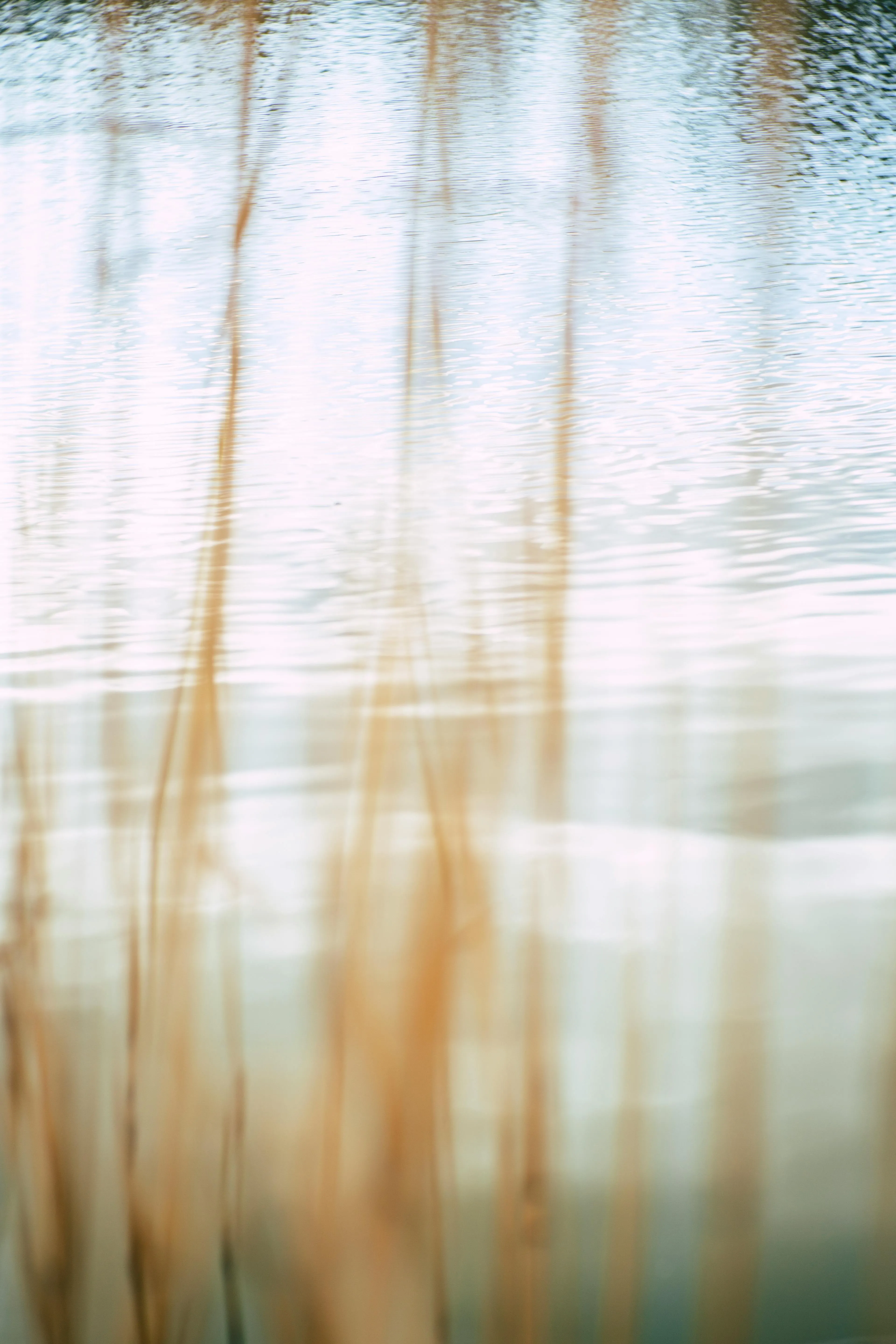 Markus Spiske on Pexels