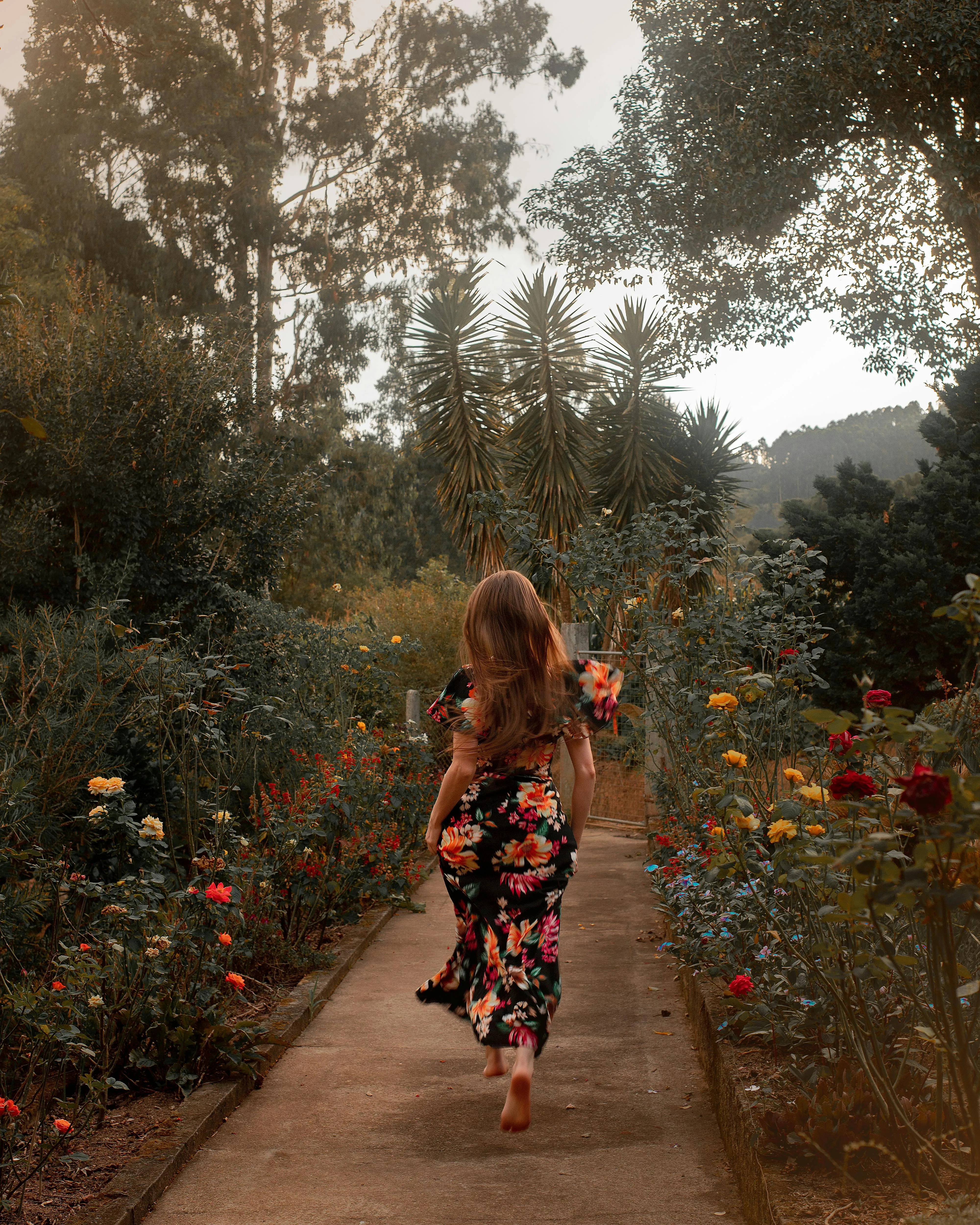  Gisele Seidel on Pexels