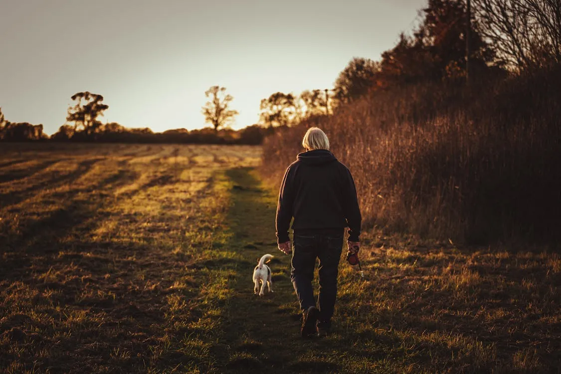 James Frid on Pexels