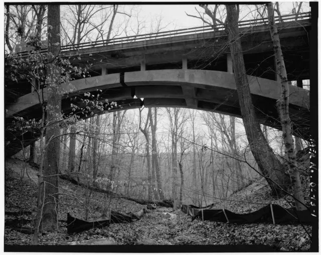 Lowe, Jet on wikimedia