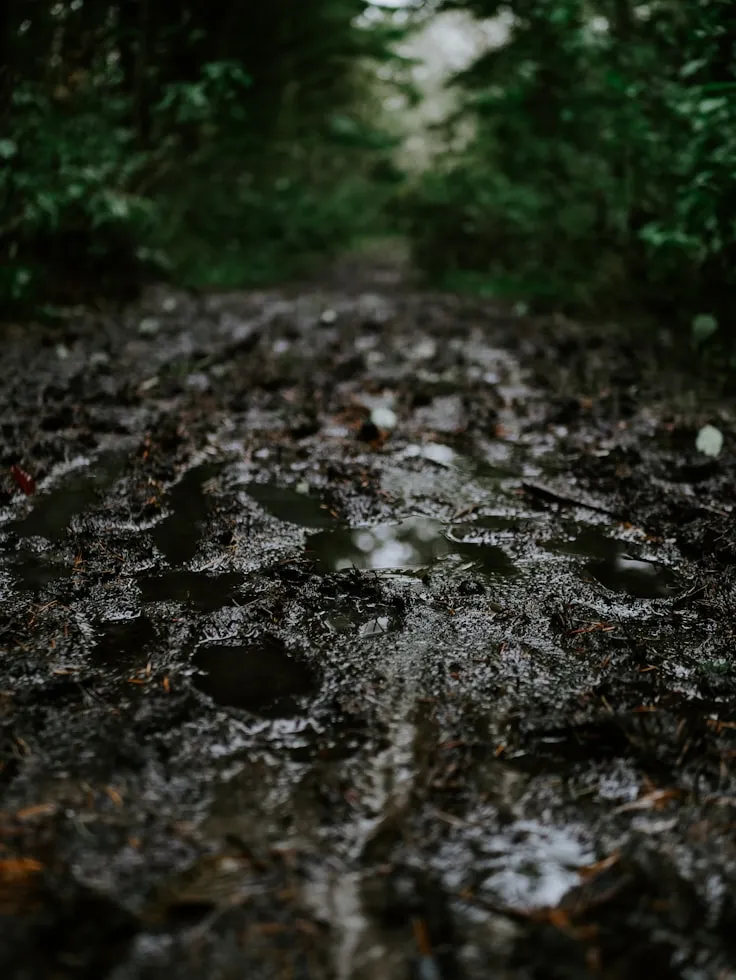 Matt Seymour from Unsplash