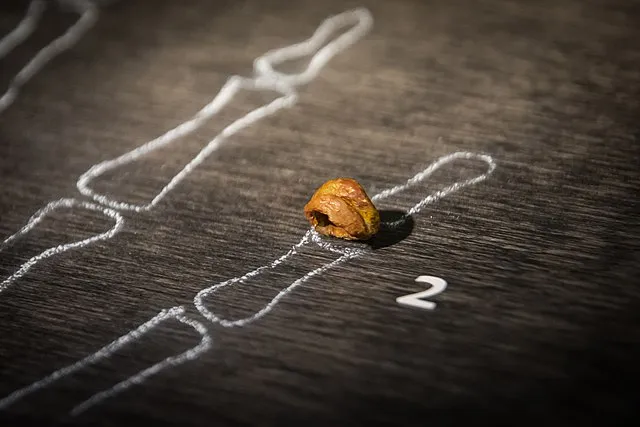 Thilo Parg on Wikimedia Commons