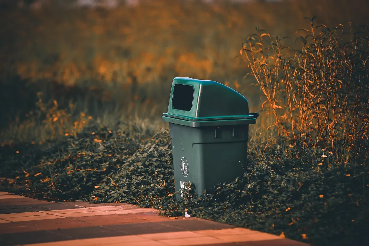 thinhhg9 on pixabay