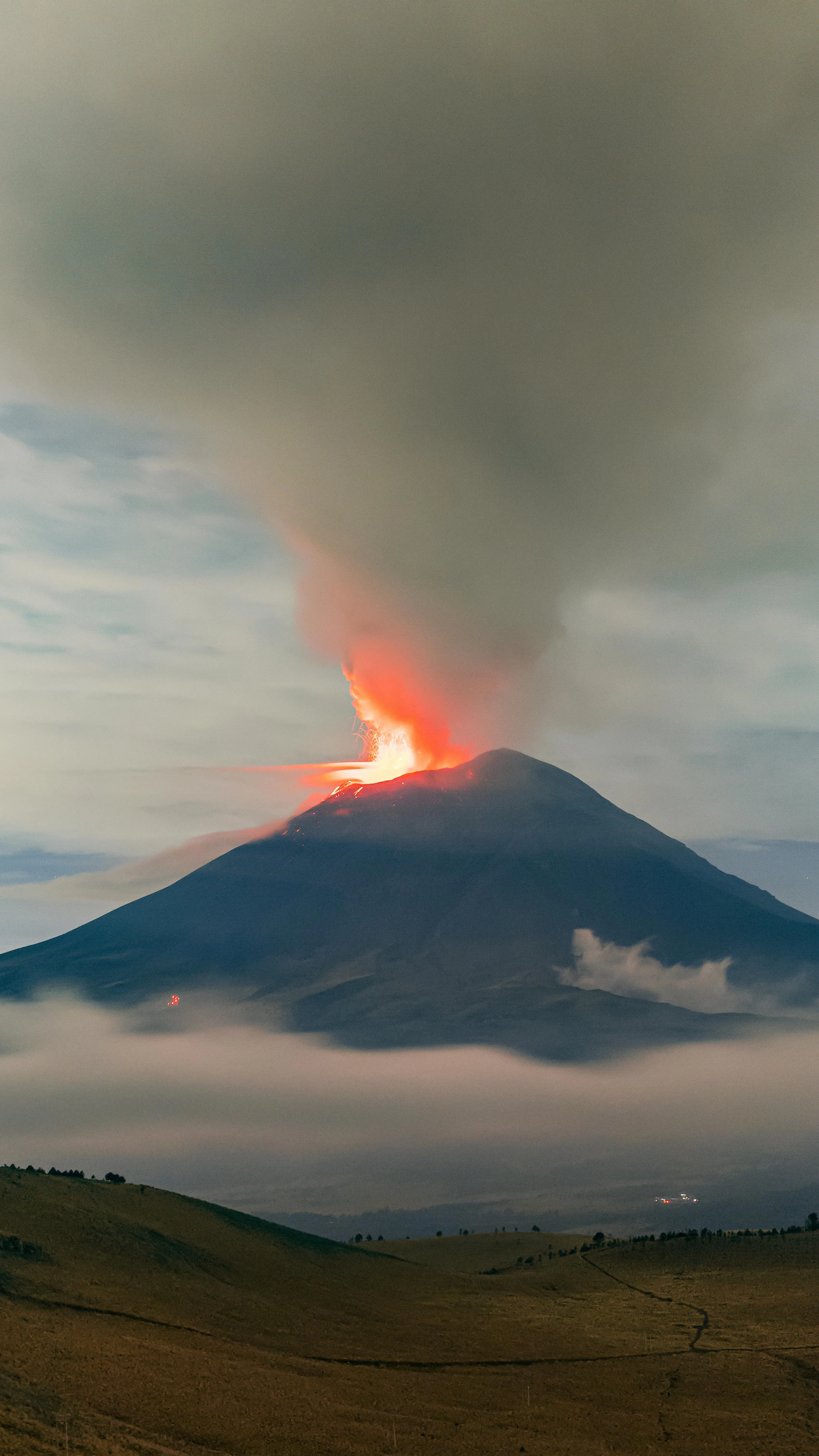 Israel Torres on pexels