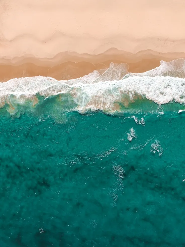 Joel Vodell from Unsplash