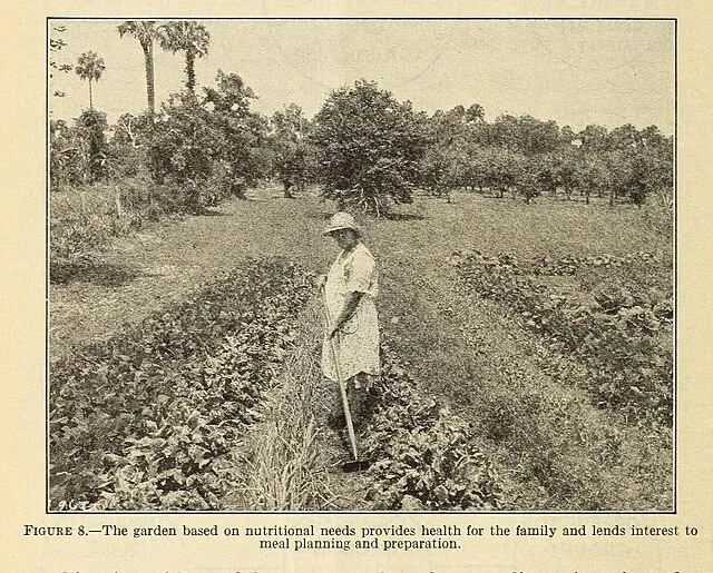 U.S. Department of Agriculture on Wikimedia Commons