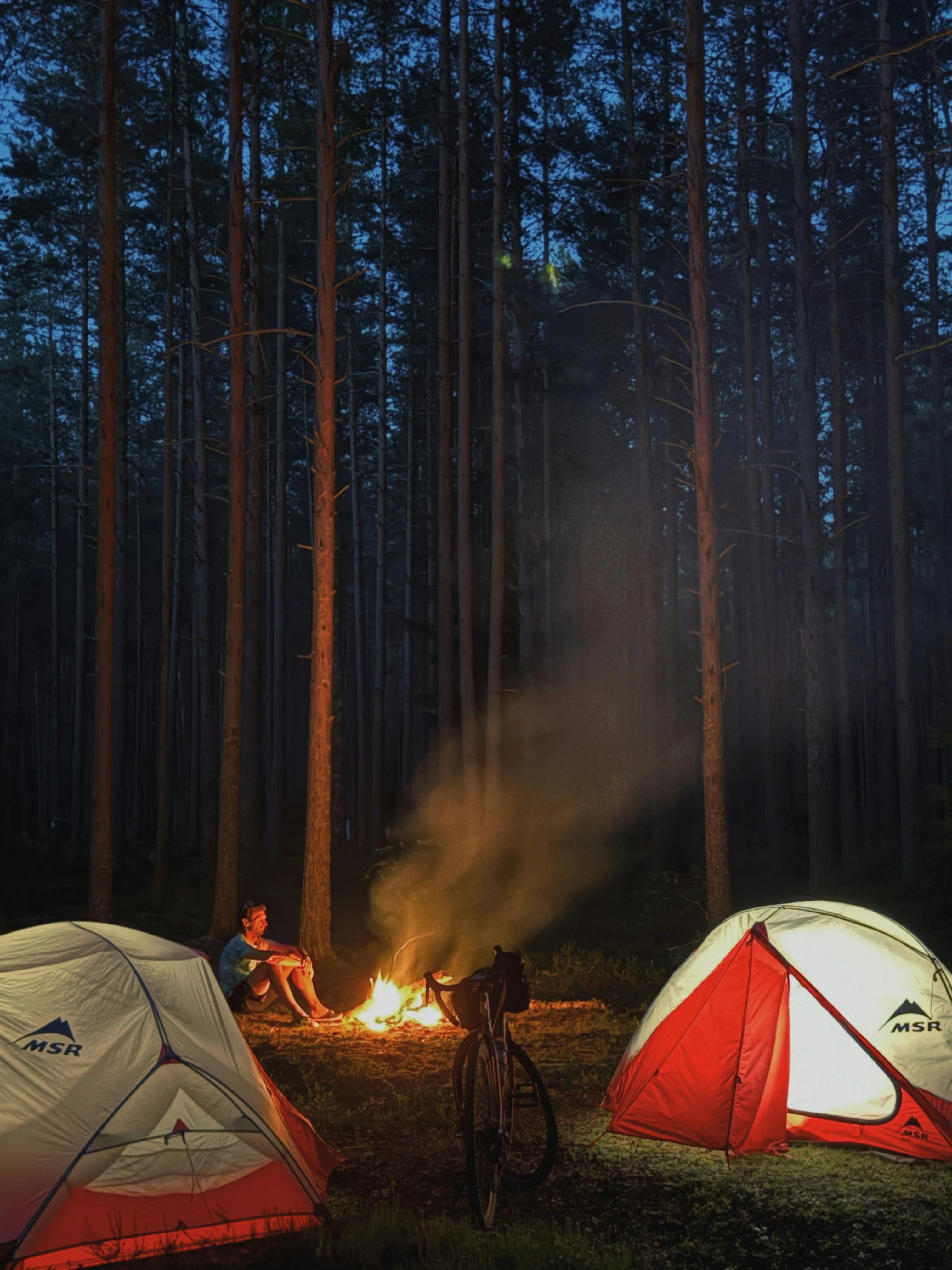 Никита Шелайкин on Pexels 
