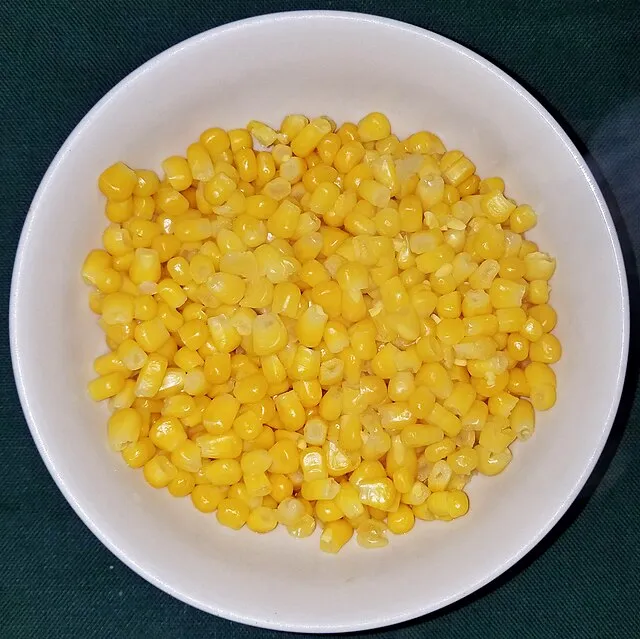Daderot on Wikimedia Commons