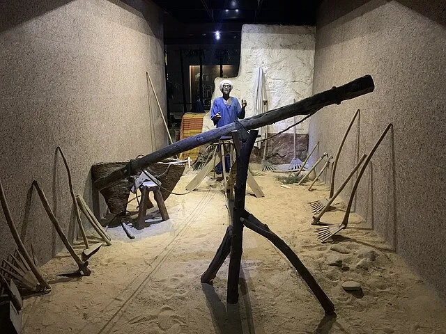 Marsupium on Wikiemdia Commons