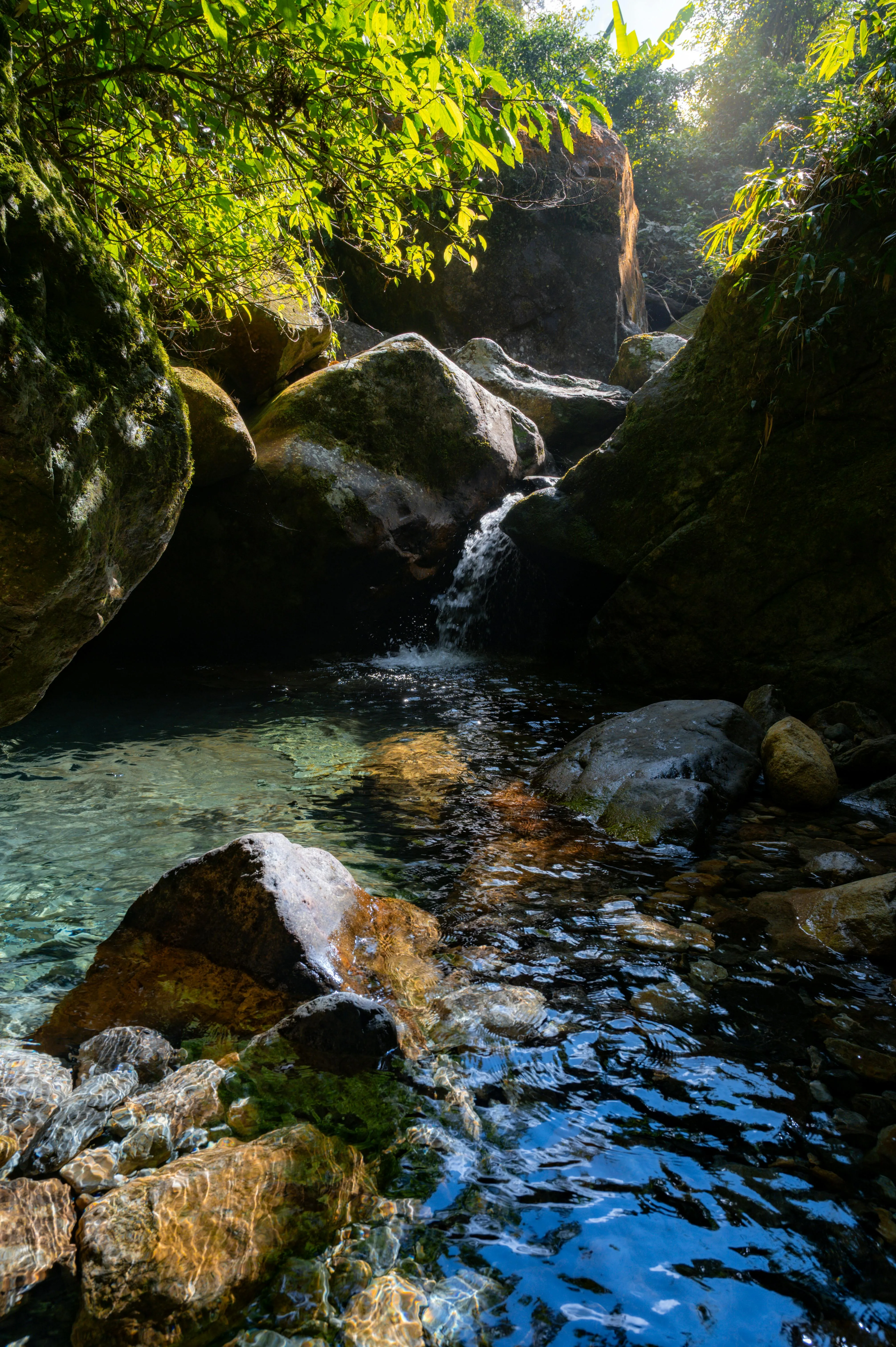 Nguyen Ngoc Tien on Pexels