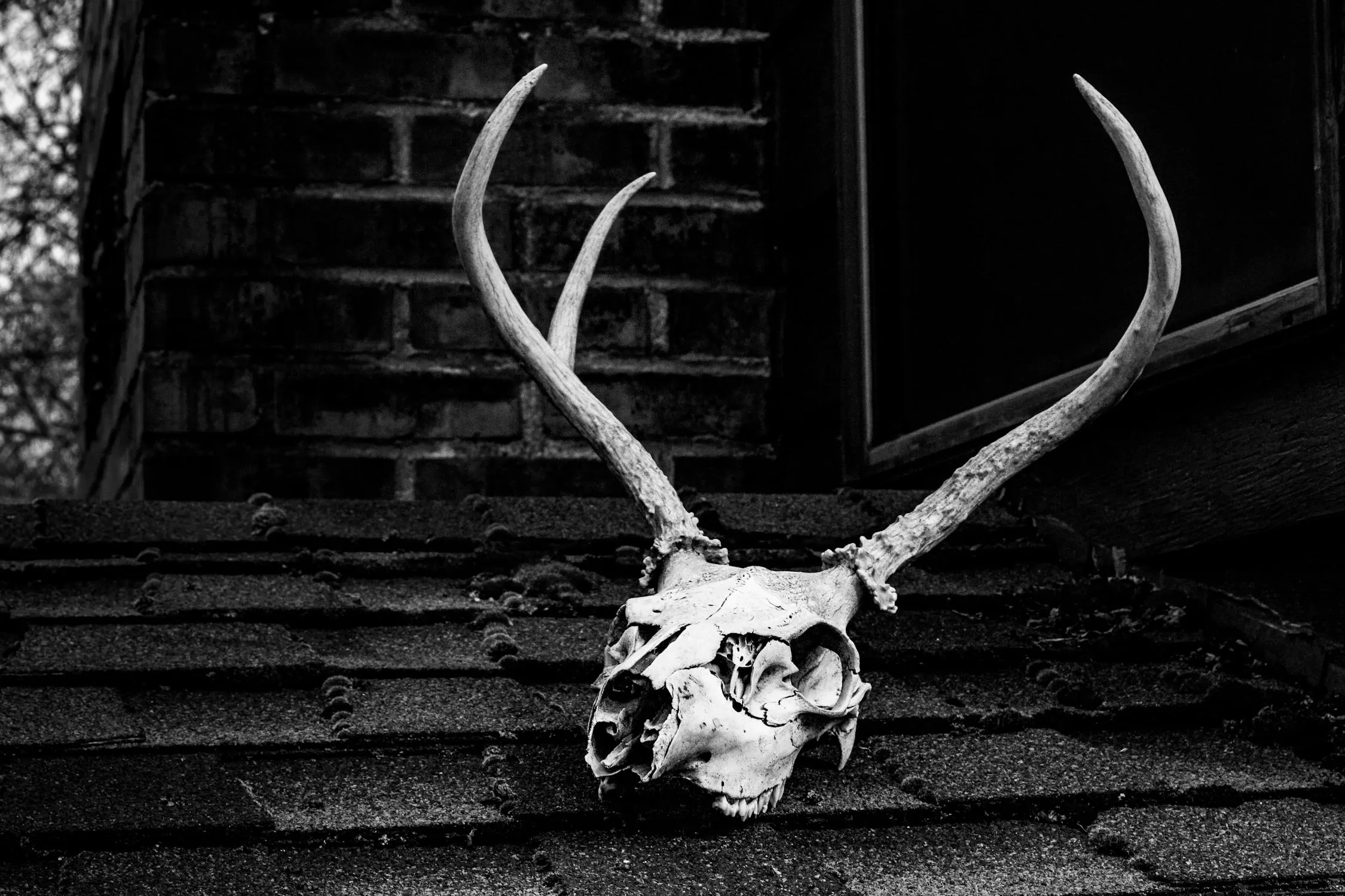 10 Urban Legends That Were Proven True Years Later