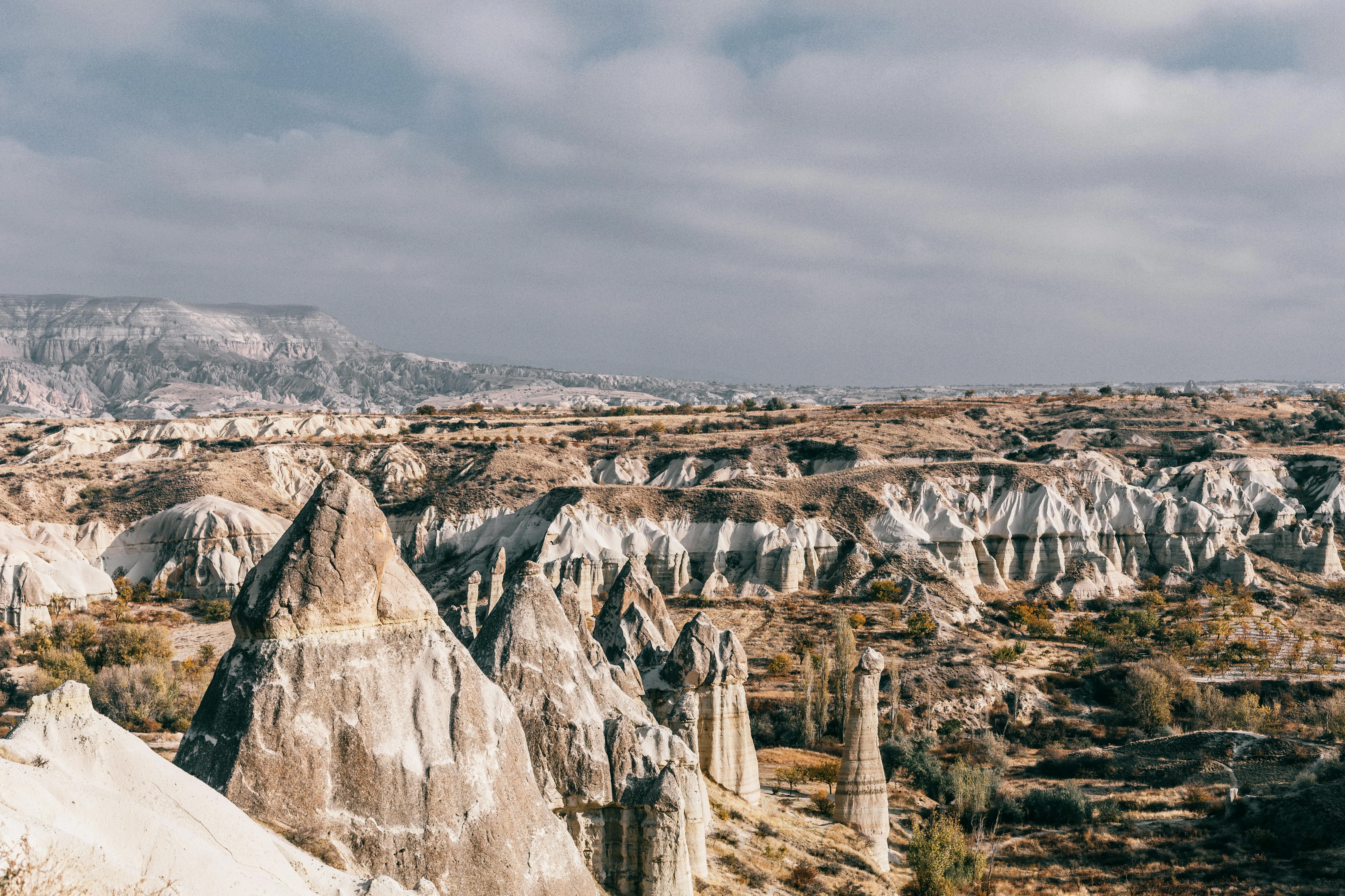 Meruyert Gonullu on Pexels