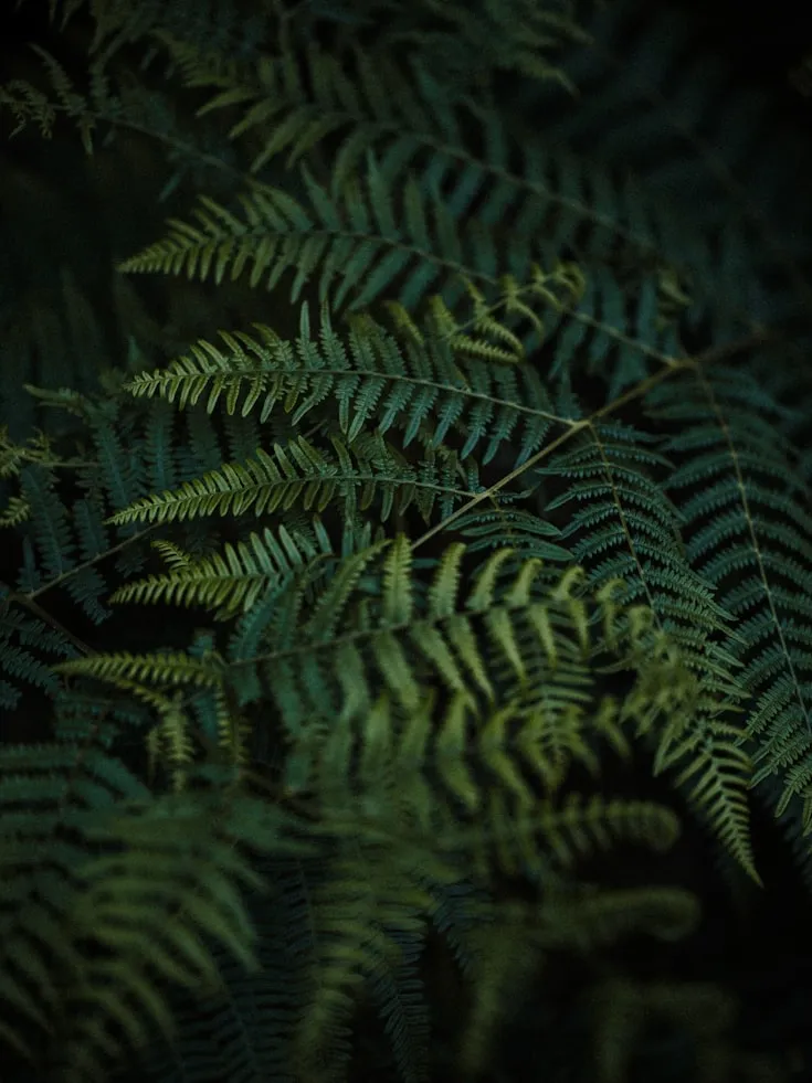 Annie Spratt from Unsplash