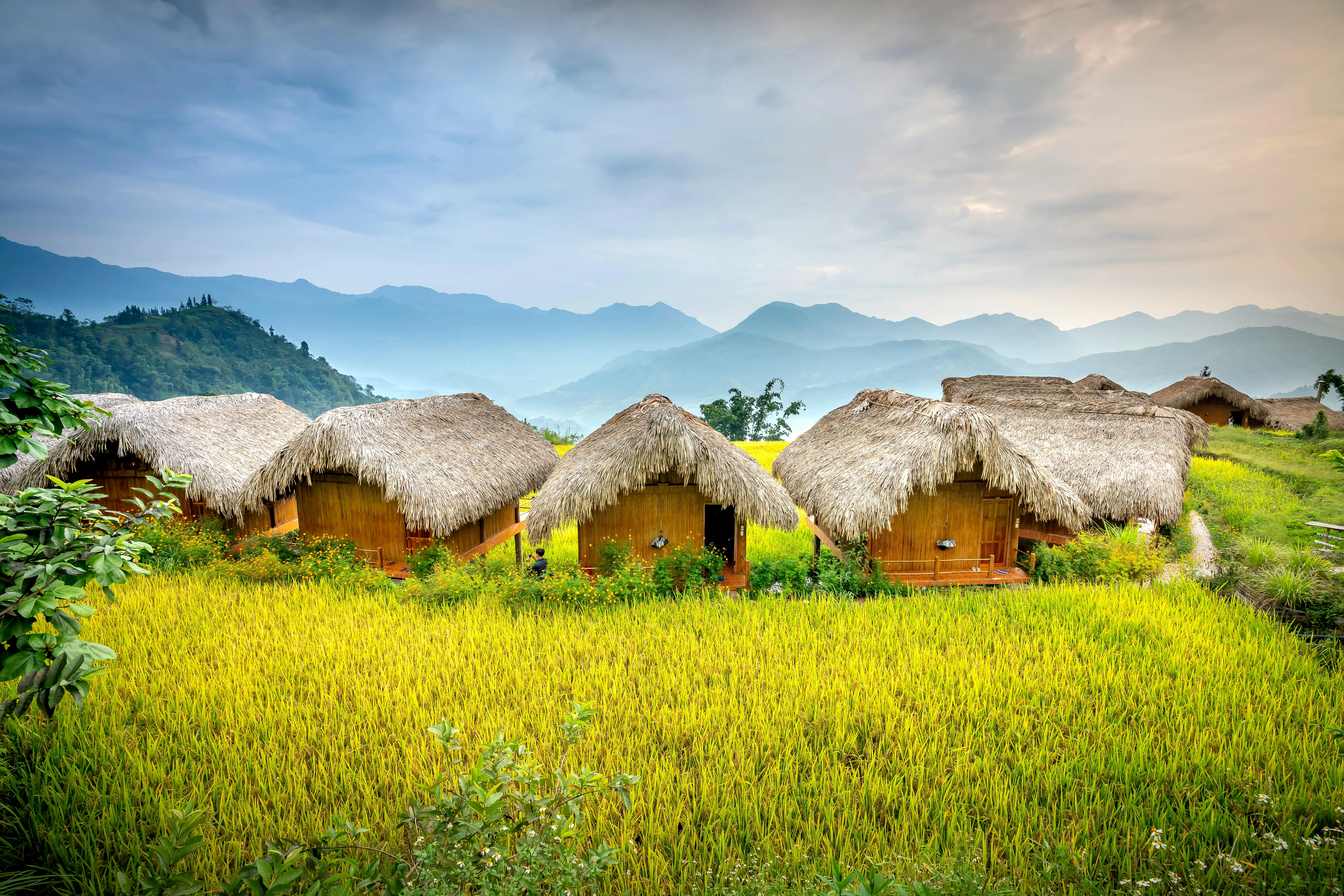 10 Natural Materials Used Historically for Shelter