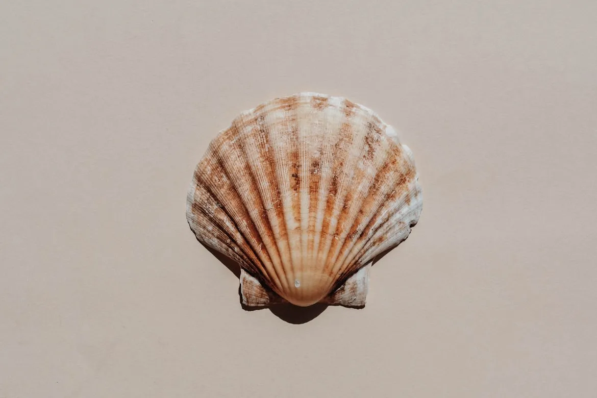 Content Pixie from Unsplash