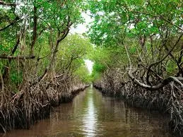Image from Discovery