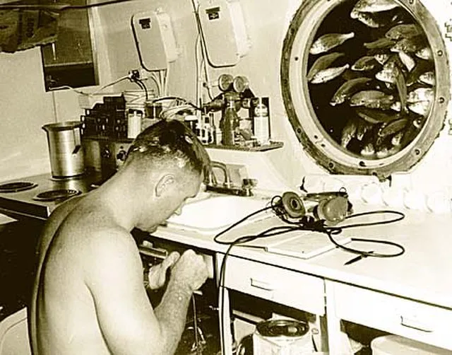  J.D. Skidmore, PHC, US Navy on Wikimedia Commons