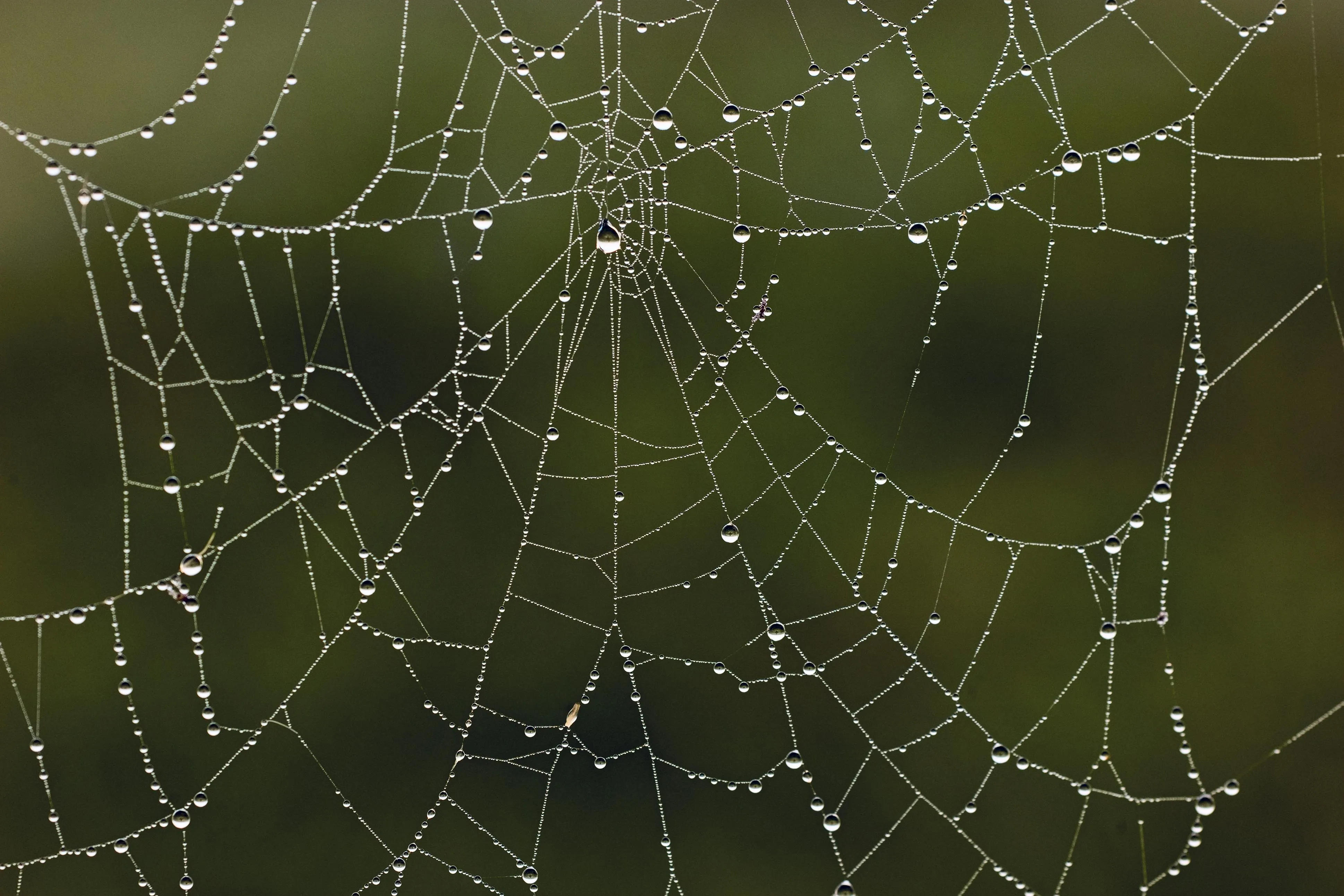 Oliver Wagenblatt on Pexels