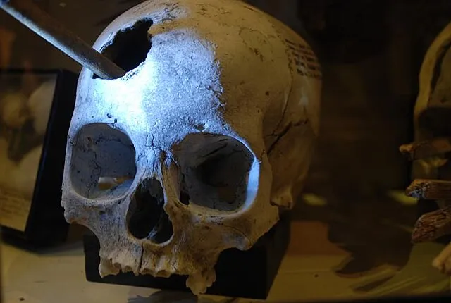 Carlos Felipe Pardo on Wikimedia Commons