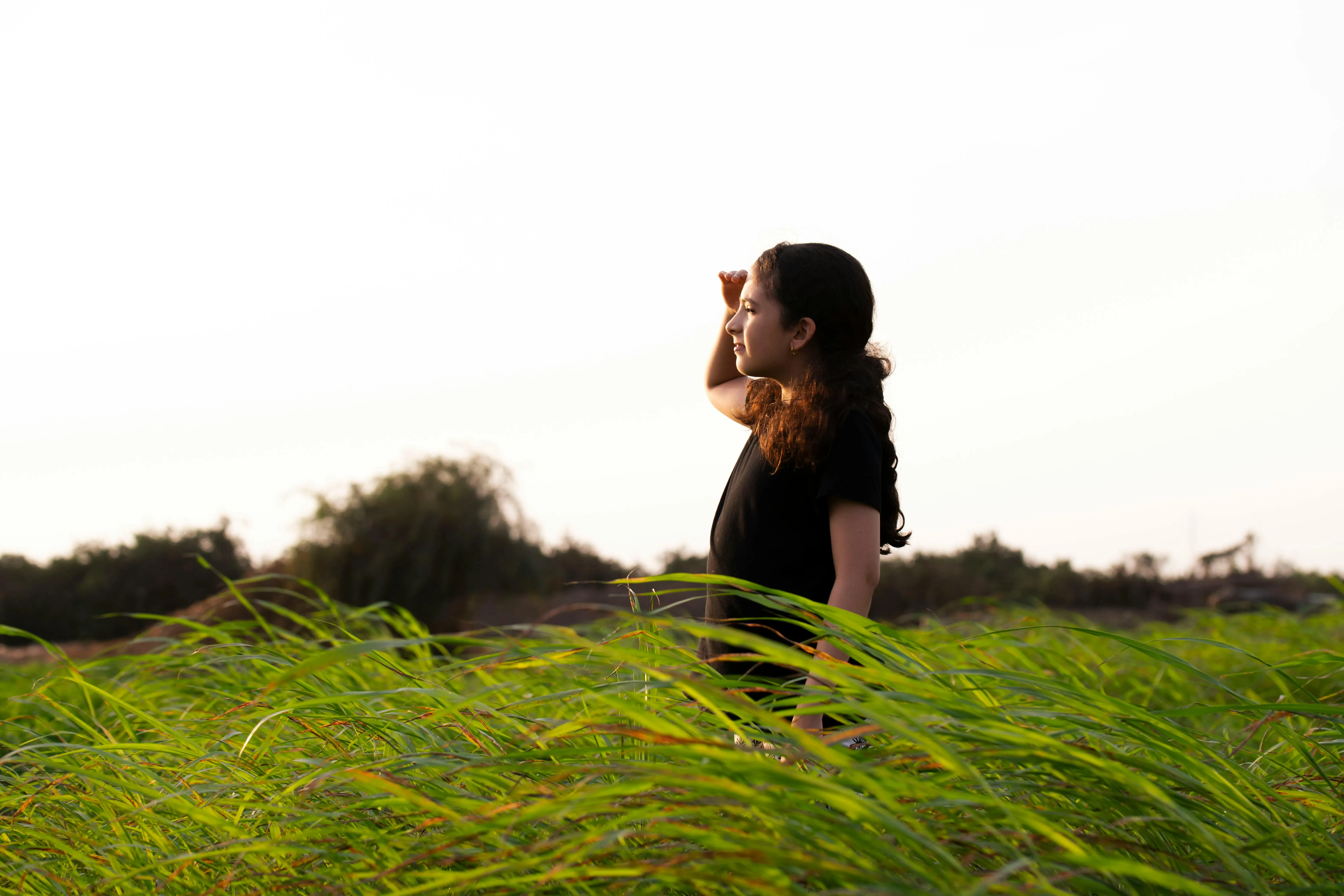 mohamed abdelghaffar on Pexels