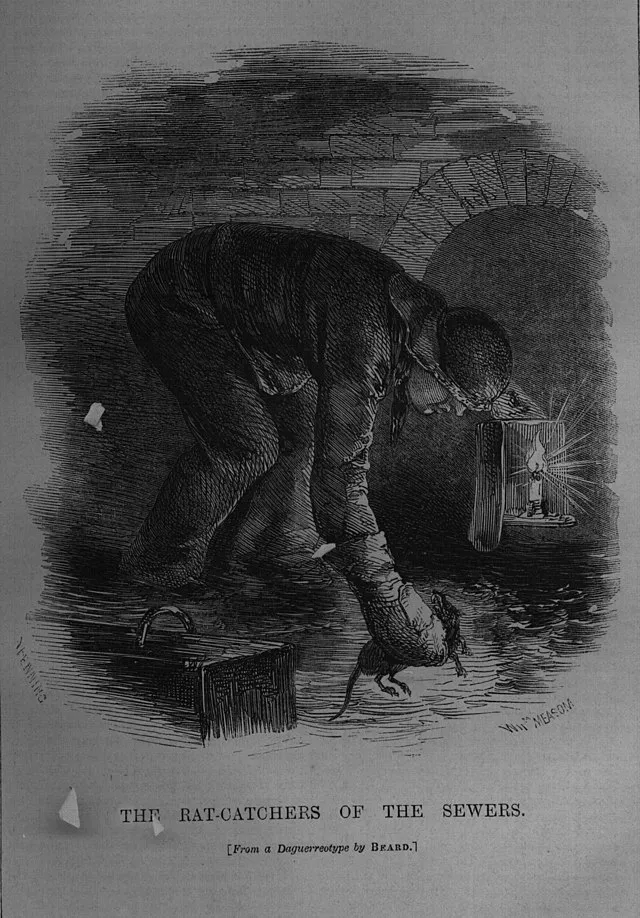 From "London Labour and the London Poor", 1851. on wikimedia